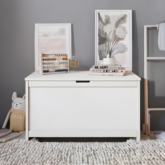 Treasure Chest Toy Storage Bench